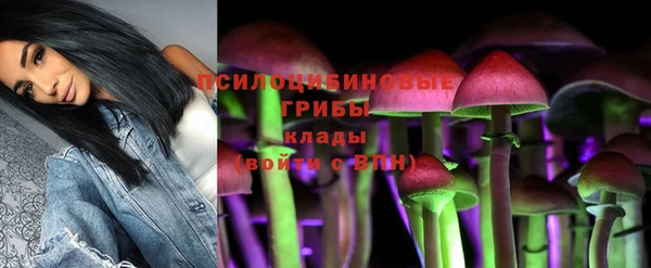 бошки Алзамай