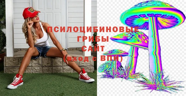 твердый Абинск