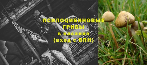 герыч Алексин