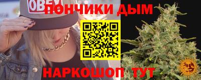 крисы Коммунар
