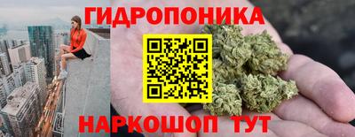 крисы Комсомольск-на-Амуре