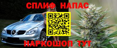 крисы Коммунар