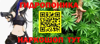 крисы Комсомольск-на-Амуре