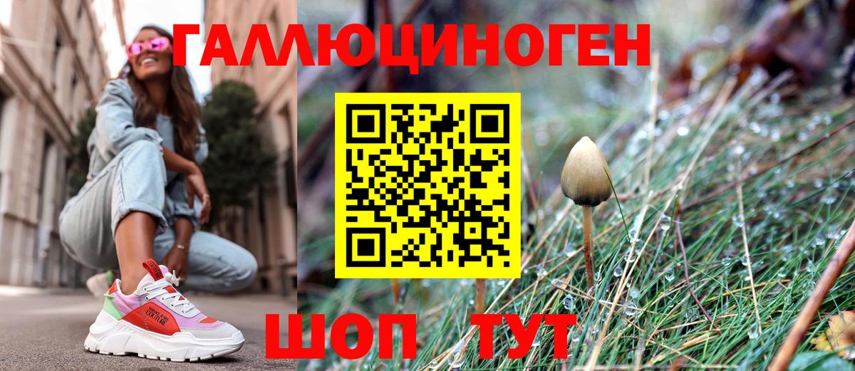 Галлюциногенные грибы MAGIC MUSHROOMS Котовск