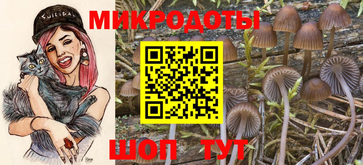 Котовск  Псилоцибиновые грибы GOLDEN TEACHER  Вход с VPN 