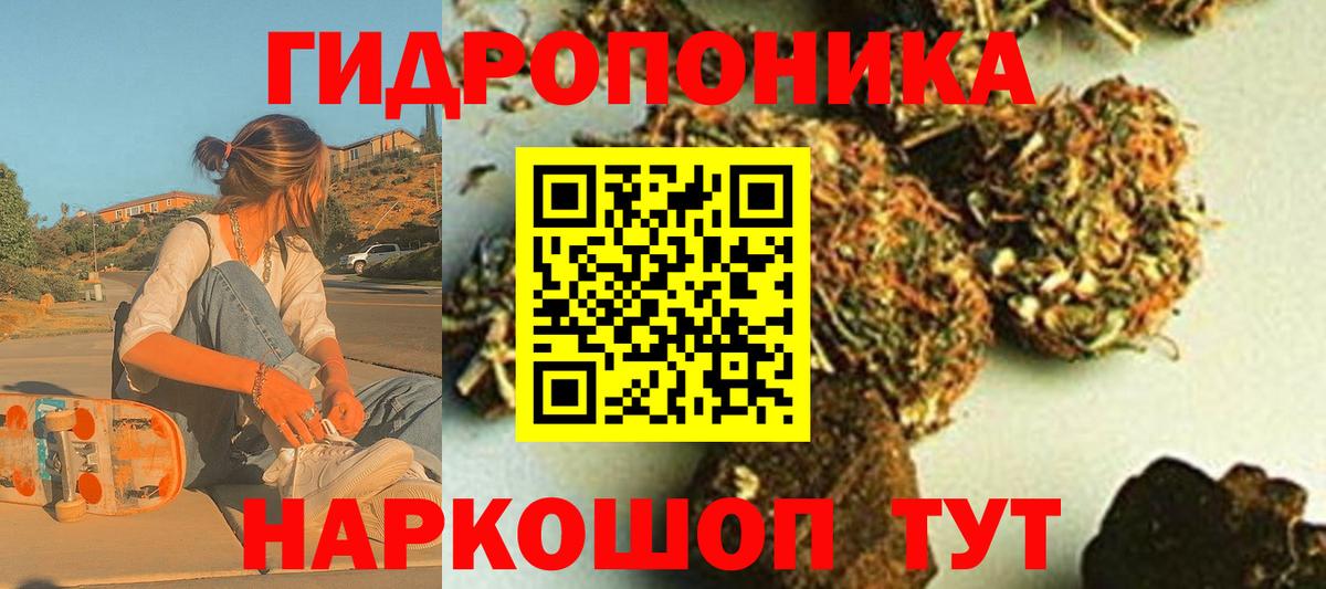 Канабис White Widow  Бошки Шишки тримм  Котовск  Вход с VPN  Бошки Шишки Bruce Banner 